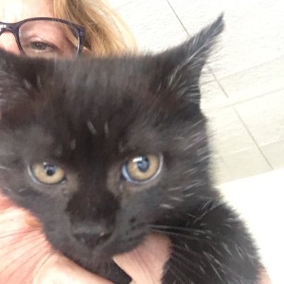 Profile Picture of Christine Eden (@ChrisEden118) on Twitter