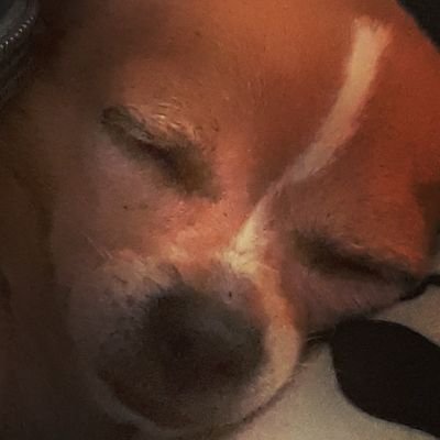 Profile Picture of Joshua Deen (@JoshuaDeen6) on Twitter
