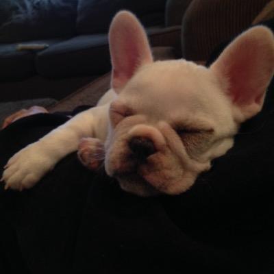 Profile Picture of Savannah Kerr (@_SShEK_) on Twitter