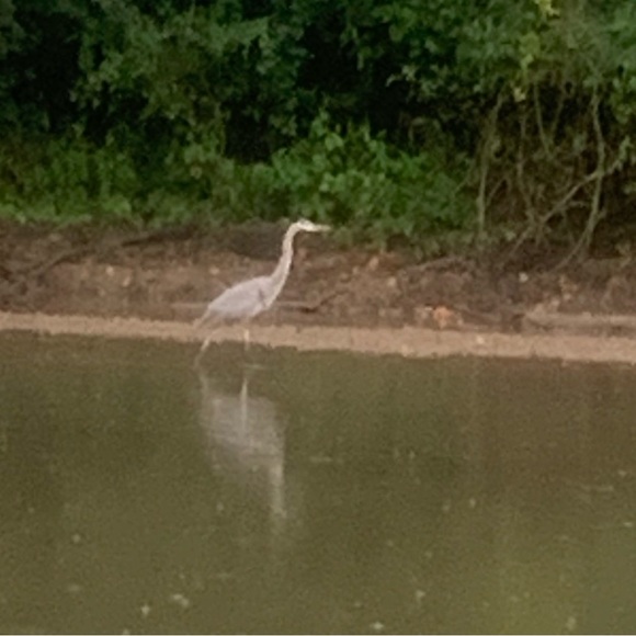 Profile Picture of Eva Rodriguez (@eva23341) on Poshmark