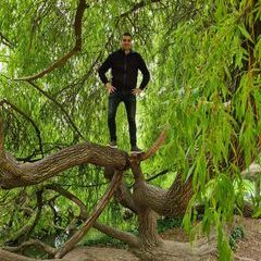 Profile Picture of Robin Förster (@robin.frster) on Tiktok