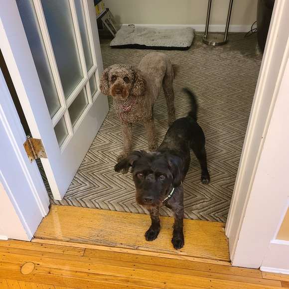 Profile Picture of Marcy Behrmann (@mbfme) on Poshmark