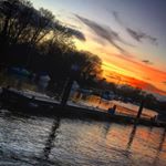 Profile Picture of Amber Barron (@amber_barronvt) on Instagram