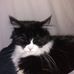 Profile Picture of David Boldt (@david.boldt.98229) on Facebook