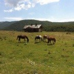 Ailin - Instagram Profile Picture of Ailin (@bendelejohnieu01) on Instagram