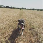 Profile Picture of Carlos Serra Pleguezuelo (@plegue20) on Instagram