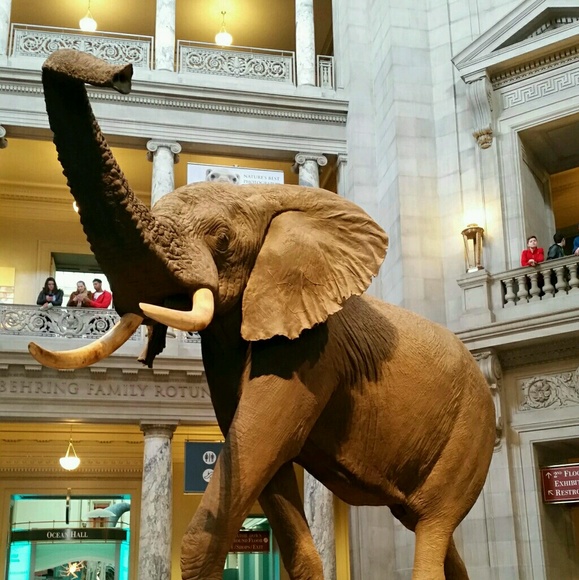 Profile Picture of Christine Baggerly (@cbagsdanvegas) on Poshmark