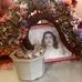 Profile Picture of Lillian Rodriguez (@lillian.rodriguez.31521lillian.lillian) on Facebook