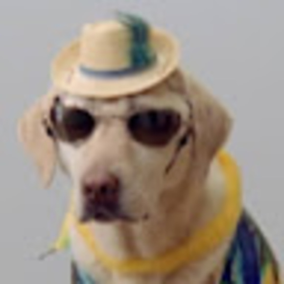 Amelia Scheriff - Poshmark Profile Picture of Amelia Scheriff (@amelias4402) on Poshmark