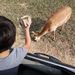 Profile Picture of Armando Pinal (@armandopinal1b) on Pinterest