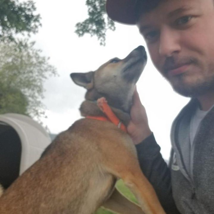 Profile Picture of Aaron Allman (@aaronallman0) on Tiktok