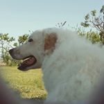 Profile Picture of Daniela Damiani (@danydamimoon) on Instagram