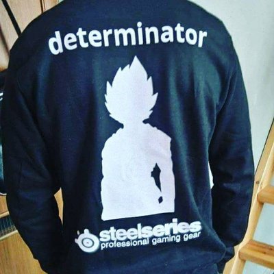 Profile Picture of Maciej "dtr" Zając (@s1wy_) on Twitter