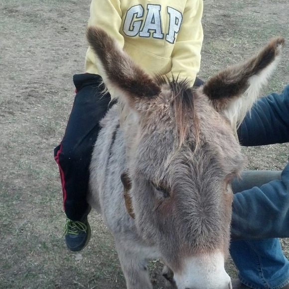 Profile Picture of Michael Mass (@hobbie2040) on Poshmark