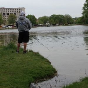 Profile Picture of Thomas Schell (@Schell_55) on Twitter