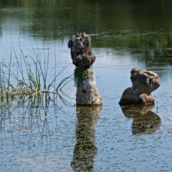 Profile Picture of Joanne Lum (@jokenl4859) on Poshmark