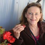 Profile Picture of Sherry (@bealsherry633) on Instagram