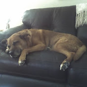 Profile Picture of James Baughman (@jamesbaughman5764) on Youtube