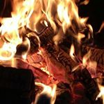 Profile Picture of Hans Koppenhöfer (@hans_koppenhoefer) on Instagram