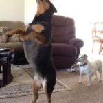 Profile Picture of Kate Seng (@gella2403aleksandrova2403) on Instagram