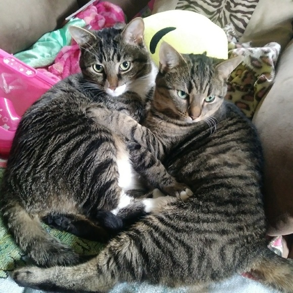 Profile Picture of Heather Bennett (@hb712) on Poshmark