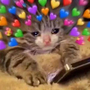 Cain Nines - Tiktok Profile Picture of Cain Nines (@cainnines) on Tiktok