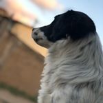 Profile Picture of Kal-El Gabriel (@clark_kent_gabriel) on Instagram