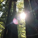 Profile Picture of Sam Chaney (@sammycphotos) on Instagram