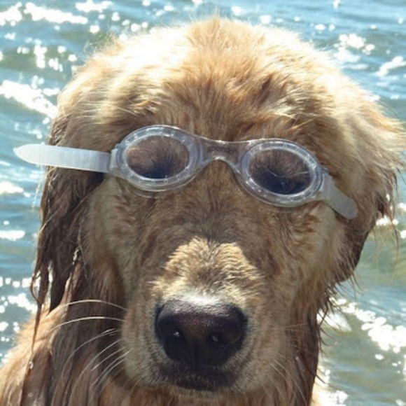 Profile Picture of Addy Thomas (@adelynnett) on Poshmark