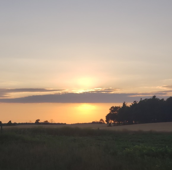 Profile Picture of Adnan Al haj ali (@adnan119) on Poshmark