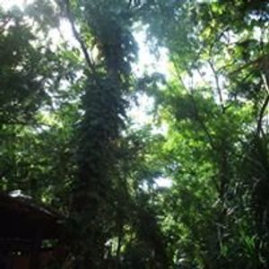 Profile Picture of Charles Okumu (@charlesokumu) on Myspace