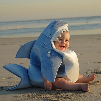 Profile Picture of Amin Seyyedan (@AminSeyedan) on Twitter