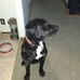 Profile Picture of Steve Duerr (@steve.duerr.359) on Facebook