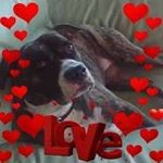 Profile Picture of Kathleen Tuttle Willette (@tuttlewillette) on Instagram