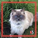 Profile Picture of Tina Stille (@tinastille) on Instagram