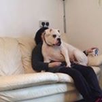 Profile Picture of Chris Luck (@maddog15360) on Instagram