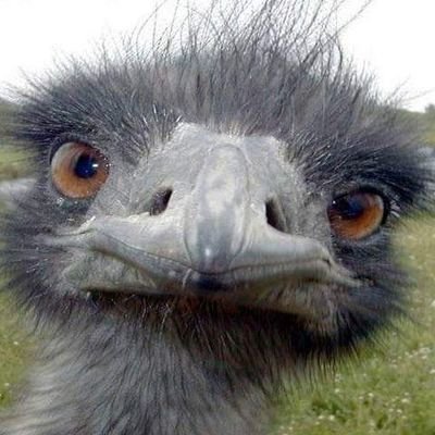 Profile Picture of Bob Maples (@BobMaples7) on Twitter