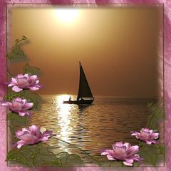 Profile Picture of michelelopilato (@michelelopilato) on Tiktok