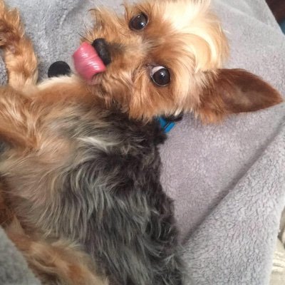 Profile Picture of John Verdino (@JohnVerdino1) on Twitter