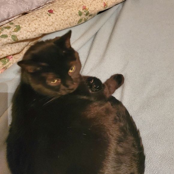 Profile Picture of Cherie Gaidosh (@cfgaidosh) on Poshmark