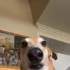Profile Picture of Ivan Pimentel (@@lilmonchis805) on Tiktok