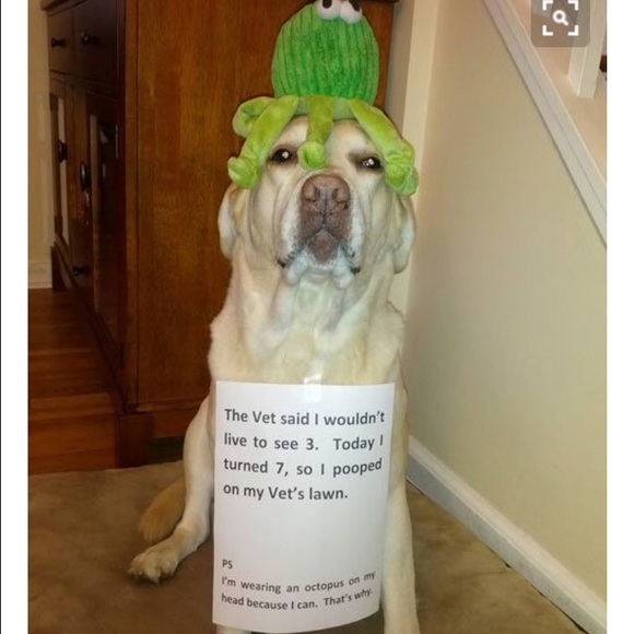 Profile Picture of Danielle Gee (@dani433120) on Poshmark