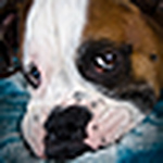 Profile Picture of John Marsh (@digitalfanatic) on Flickr