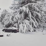 Profile Picture of joshua silvestri (@bubbyruckus) on Instagram