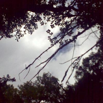 Profile Picture of Mark Parry (@markparryauthor) on Twitter