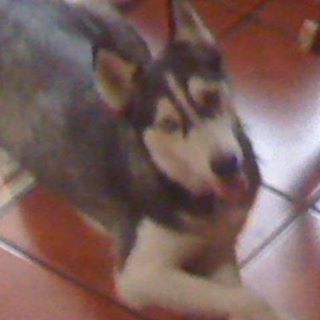 Profile Picture of Lancey Halliwel (@lancey.halliwel) on Facebook