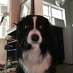 Kevin Krush - Flickr Profile Picture of Kevin Krush (@KRKrush53) on Flickr