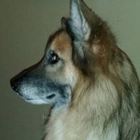 Profile Picture of Tony Frazier (@tony-frazier-11) on Quora