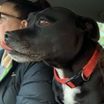 Profile Picture of megwatts37 (@megwatts37) on Instagram