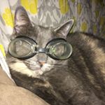 Profile Picture of Keith (@nofingerdelange) on Instagram